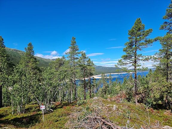 Tunhovdfjorden - Bjorvika Fjord og Fjell. Visning etter avtale.