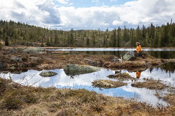 Svarttjerntoppen i Hedalen, store høyfjellstomter 950 moh. 2 tomter solgt